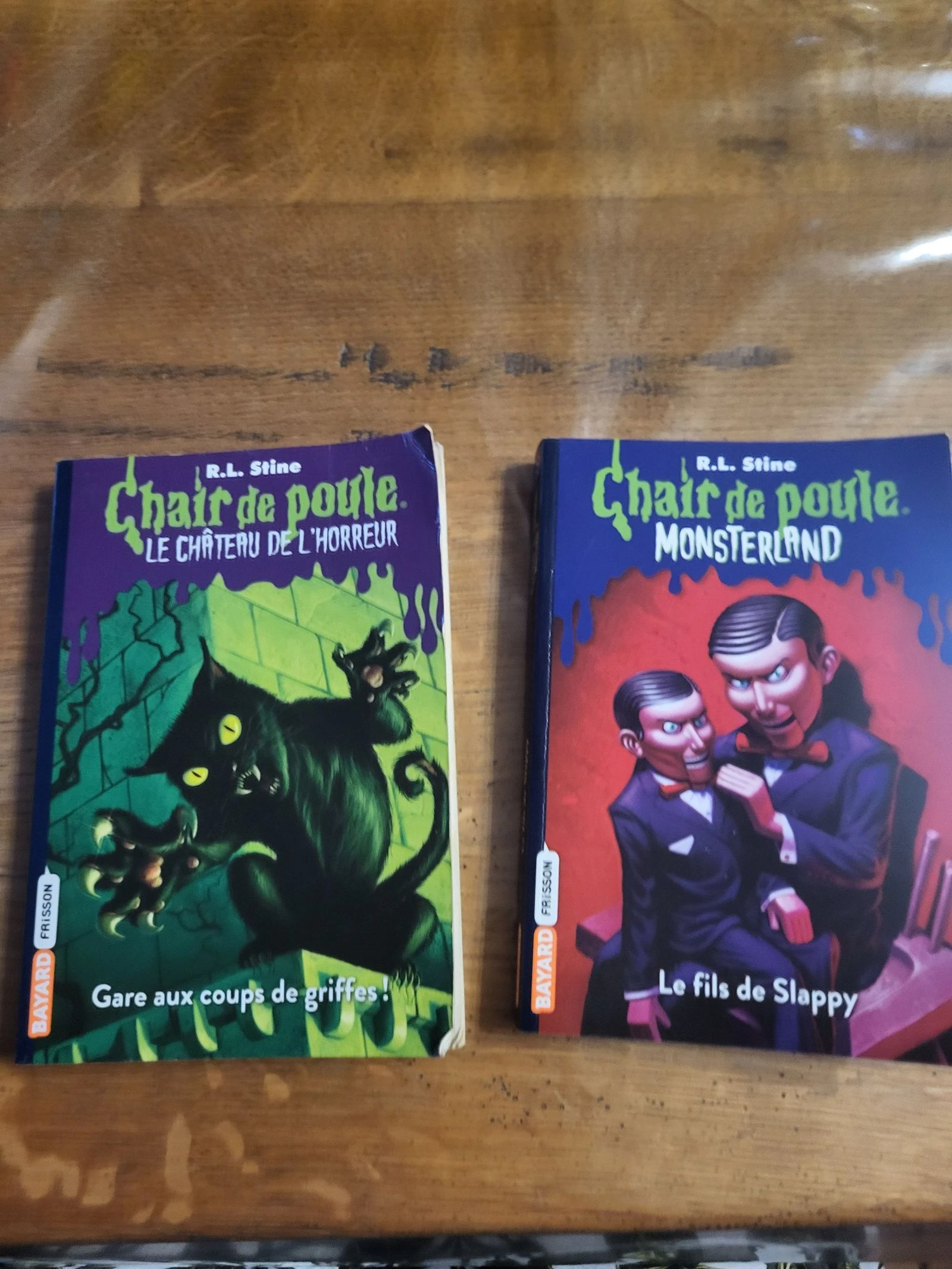 Lot 2 livres Chair de poule